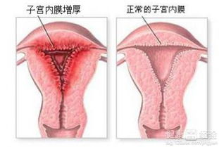 那到底更多更少个毫米是“正常”呢？
