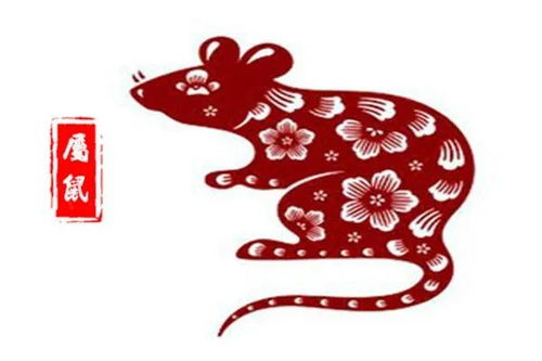 生肖猪