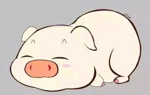 第六节：戌狗与亥猪的忠诚与纯真