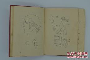 多重功效：观赏价值与医疗保健领域的应用潜力