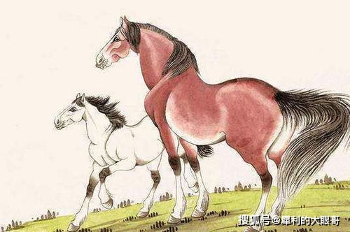 2026年属马的本命年从哪天开始算，1月20日祈福吉日时辰是哪几个？