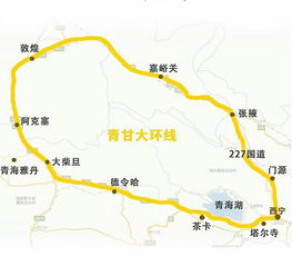 二点五、 意外惊喜——偶遇流浪猫咪和失踪的自行车轮胎