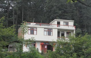 四、 后院环境的综合考量要素