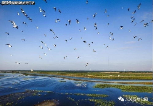 优惠政策的背后：一场商业活动与生态的博弈