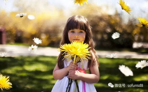 梗进一步的组合