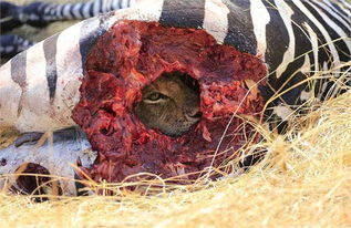 梦见凶案现场死人是什么预兆？凶杀案现场有人死还有血是什么意思？