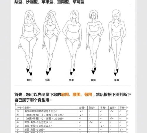 4. 腰粗无臀者