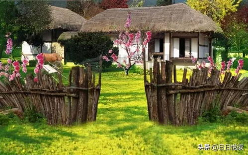 一、  北京郊区农村小院的地理环境与选址原则分析