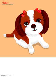 1982年属狗的人运势如何，今年的运势变化有哪些特点？