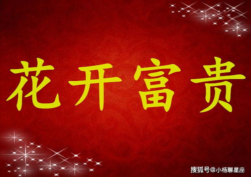 ：2025年12月3日生肖运势综论与分析框架