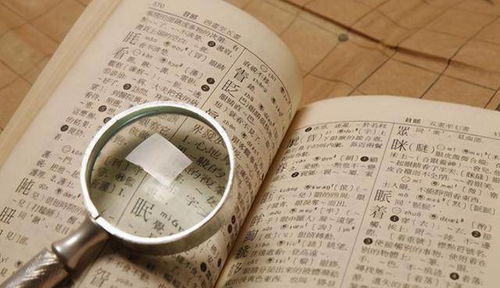 （一）历史文本中的阐释