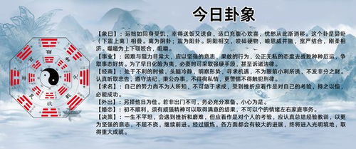 五、 结合现代社会背景下的反思