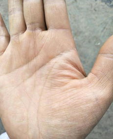 手相查看运气，如何判断手相中最好的运势图？