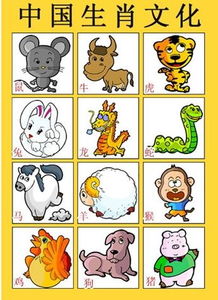 娇生惯养对应哪个生肖？这生肖尾巴特长吗？