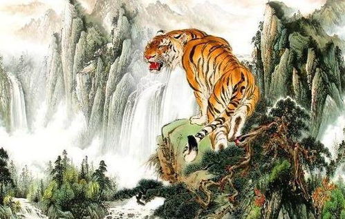 2026年属虎女性运势如何？全年运势运程具体怎样？