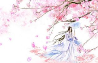 二、  生肖星座与古风网名的契合度分析