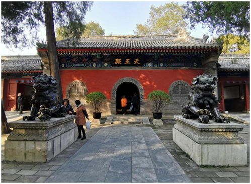 交通指南（坑爹版）——怎么去才不会被宰到哭泣？