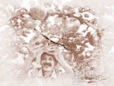 救命！昨晚梦见梨树的人赶紧看！错过血亏！