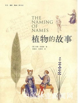 1. 与自我的达成和解