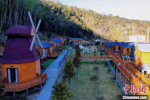 特色活动：无聊到数蚂蚁的日子