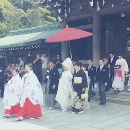 婚神二宫是否准确反映我的婚姻状况？