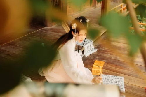 好大好大的杏子啊！