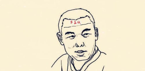 ：面相学视域下的“年轮”与命运轨迹的实证考察