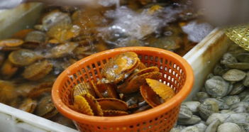 震惊！大韩带鱼之旅，坑爹指南来了！