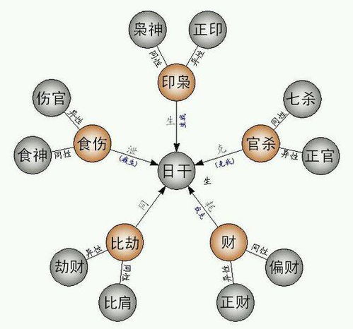 一、 八字命理中的婆媳关系：基本原理