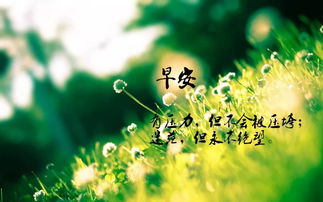 哪个生肖代表美好年华，人最美好的年华是几岁？