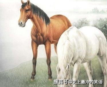 2026年属马的人下半年财运如何，明年运势又会怎样？