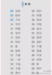 第一章：为什么要选“高分”名字？——情感与命运交织