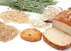 豆果类食品的辨识与烹调提议