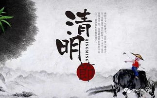 扫墓仪式的流程解析与象征意义
