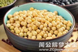 梦见别人送我黄豆是什么预兆？黄豆的梦境有什么特殊含义？