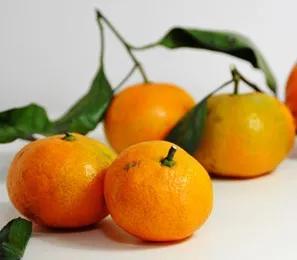 卧槽！梦见偷桔子？完蛋了！