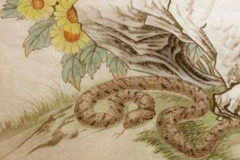 二、财运解析：稳中求进与防范风险因素并存