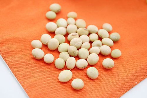 八、 生冷及寒凉食材对乳腺功嫩的不利影响