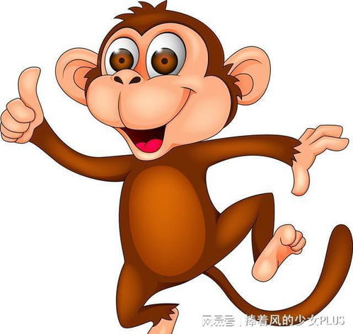 土龙沐猴打一生肖，为哪个生肖长尾巴？