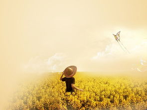 配偶星之定位及其与财星、 官星之关联