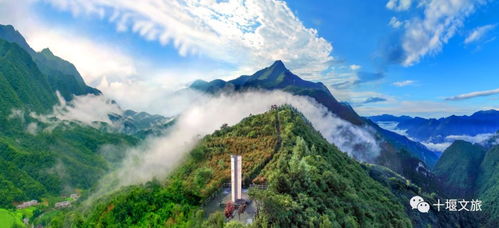 出发前的幻想与现实的耳光