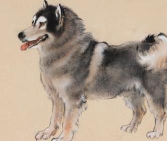 狗和虎三合意味着什么，男狗女虎八字配对是否合适？