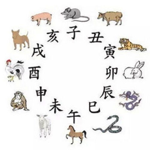 十二生肖中哪个生肖最富有，被称为有钱打一生肖是何含义？
