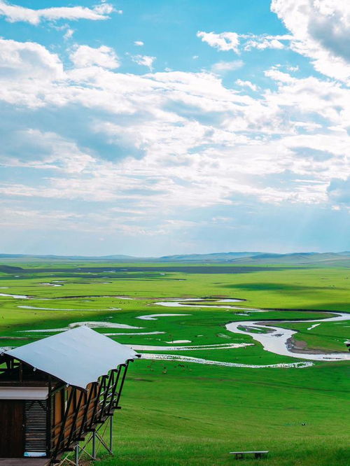 吃喝玩乐全攻略：