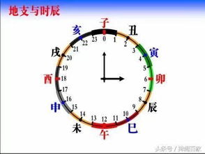 四柱八字时辰如何选择，哪个时辰代表什么命？