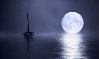 开灯对风水有哪些具体影响？如何通过风水开灯改善家居环境？