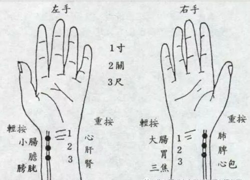 把脉算命依据什么原理进行判断？