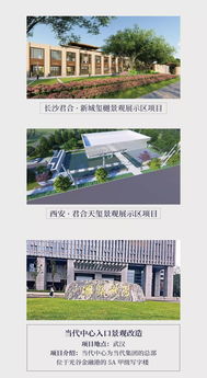 三、 典型案例集锦及其结构特征解析