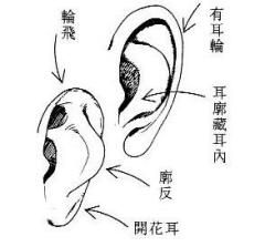 绪论：胎记在八字命理学中的特殊地位