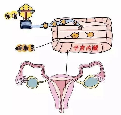 一、前言——厚度到底是啥玩意儿？
